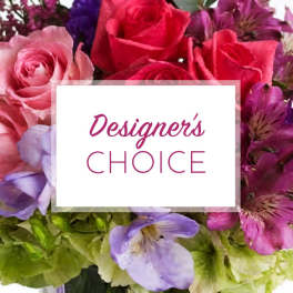 Designer's Choice