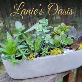 Succulent arrangement in a white oval planter with mixed green and purple plants