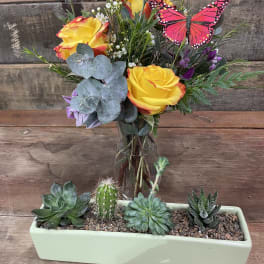 Yellow roses in a glass vase with succulents in a rectangular planter