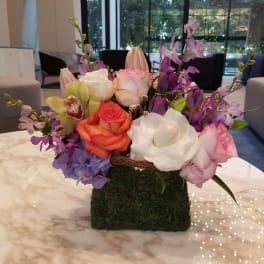 Mixed bouquet of roses, orchids, and hydrangeas in a moss-covered cube