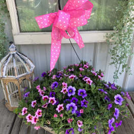 Pinks and Purples Hanging Basket