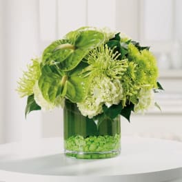 Compact green and white flower arrangement in a clear glass cylinder vase with green stones.