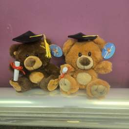 Two teddy bears wearing graduation caps and holding diplomas