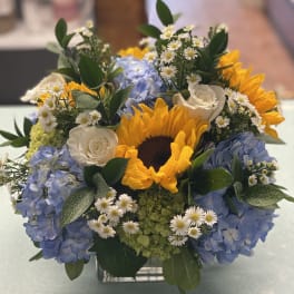 Sunflower and blue hydrangea bouquet with white roses in a square vase