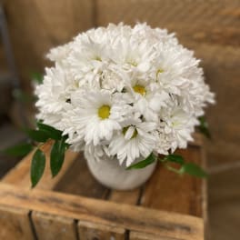 White daisy bouquet in a white vase