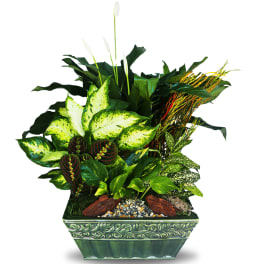 Assorted green houseplants with white blooms in a rectangular green ceramic planter