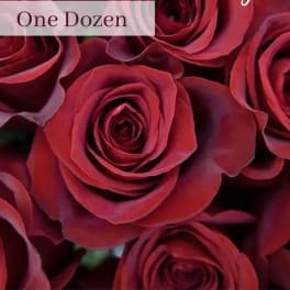 Close-up of a dozen red roses tightly clustered together