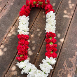 Carnations Lei (Red & White)
