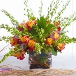 Bouquet of orange and red roses in a clear square vase