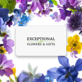 Colorful assorted flowers framing a white card that reads Exceptional Flowers & Gifts