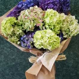 Bouquet of purple and green hydrangeas wrapped in brown paper