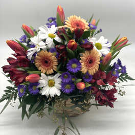 Mixed bouquet in a woven basket with daisies, gerbera daisies, tulips, and purple asters