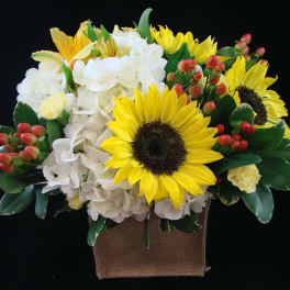 Sunflowers and white hydrangeas in a burlap container