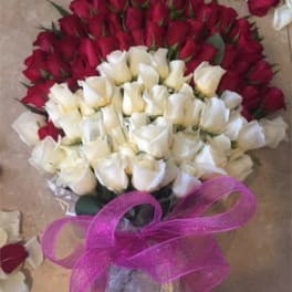 Bouquet of red and white roses tied with a pink ribbon