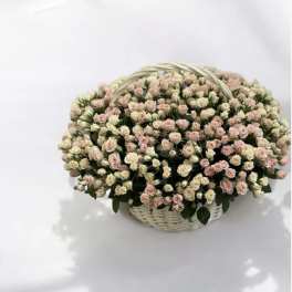 Basket of pale pink and cream spray roses