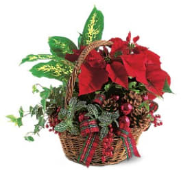 Holiday Planter Basket