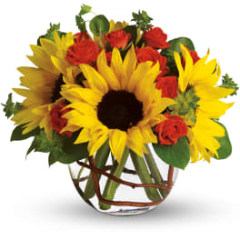 Sunny Sunflowers with Orange Spray Roses