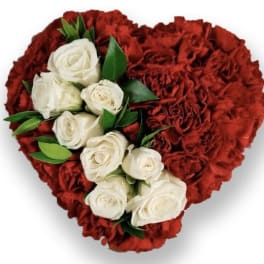Heart-shaped red carnation arrangement with white roses