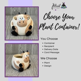 Cow-shaped ceramic plant container with a smiling face
