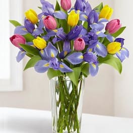 Bouquet of multicolored tulips in a clear glass vase