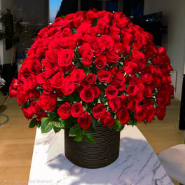Large bouquet of red roses in a dark ribbed vase