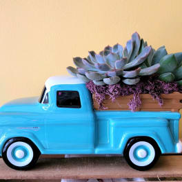 Blue toy truck planter with succulents and purple moss