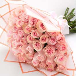 Bouquet of pale pink roses wrapped in white and peach paper