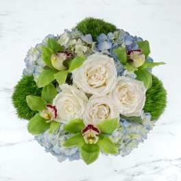 Round arrangement of white roses, green orchids, and blue hydrangeas viewed from above