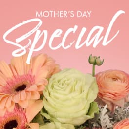 Peach gerbera daisies and a pale green rose beneath a Mother’s Day Special text on a pink background