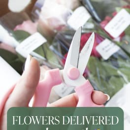 Hands holding pink-handled scissors over wrapped flower bouquets