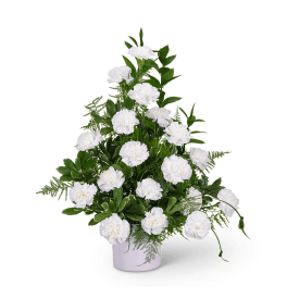 White carnations arranged in a white vase with green foliage