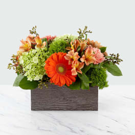 Orange gerbera bouquet in a wooden box with green hydrangea and alstroemeria