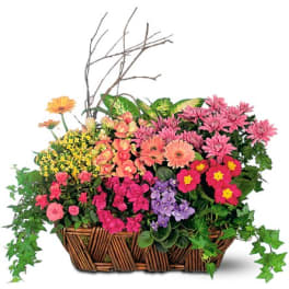 Mixed flower basket with pink, orange, yellow, and purple blooms