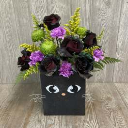 Black cat-shaped flower box with dark roses, purple carnations, and green pompons