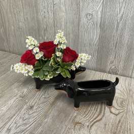 Red roses and white daisies arranged in a black dog-shaped planter.