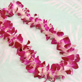 Pink and white orchid lei on a pale patterned background