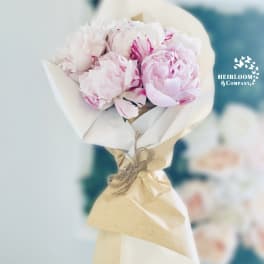 Bouquet of pale pink peonies wrapped in white and kraft paper