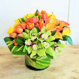 Bouquet of orange tulips and green orchids in a striped vase