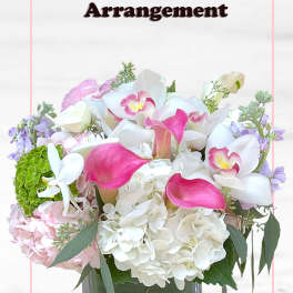 Designer's Choice for Arrangement