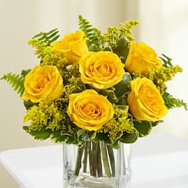 Love's Embrace - 6 Yellow Roses