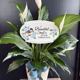 Elegant Peace Lily with garden stake in basket - "A Beautiful Soul"