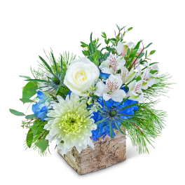 White roses and blue flowers in a rustic wood container