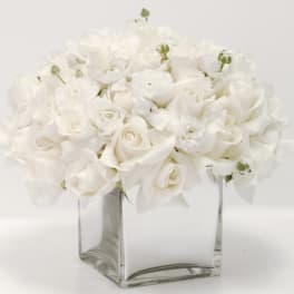 Snowy White Flowers in a Vase