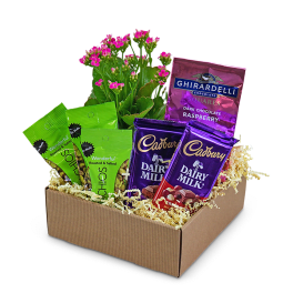 Gift box with a flowering plant and assorted chocolate and nut packages