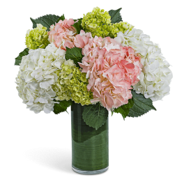 Pink and white hydrangea arrangement in a tall glass vase