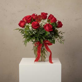 Dozen Long Stemmed Red Roses