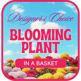 Graphic with blooming flowers and the words "Designer’s Choice" and "Blooming Plant in a Basket"