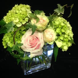 Compact arrangement of pale pink roses and green hydrangeas in a clear glass cube vase.