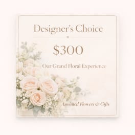 Designers Choice $300