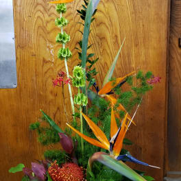 Tall tropical arrangement with bird of paradise and protea in a vase